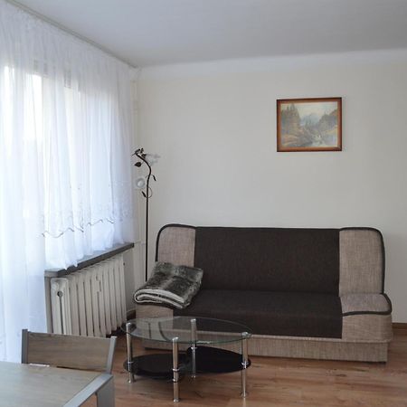 Apartament Ustrzyki Ustrzyki Dolne Zewnętrze zdjęcie