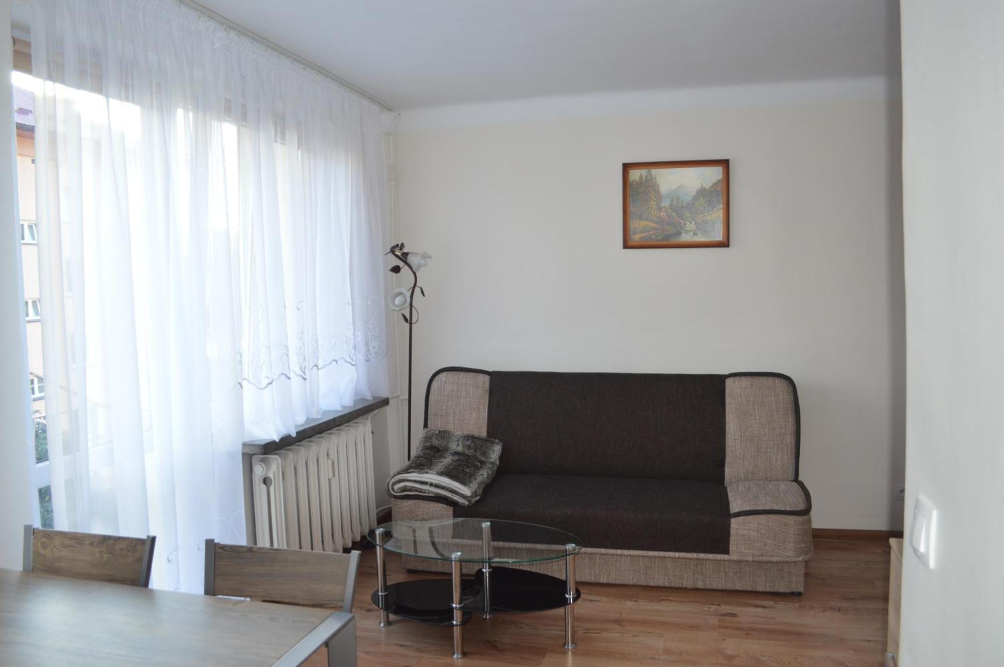 Apartament Ustrzyki Ustrzyki Dolne Zewnętrze zdjęcie