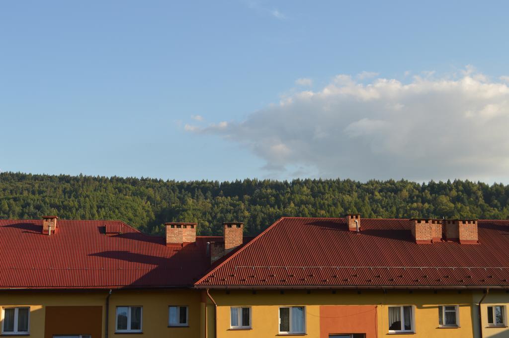Apartament Ustrzyki Ustrzyki Dolne Zewnętrze zdjęcie