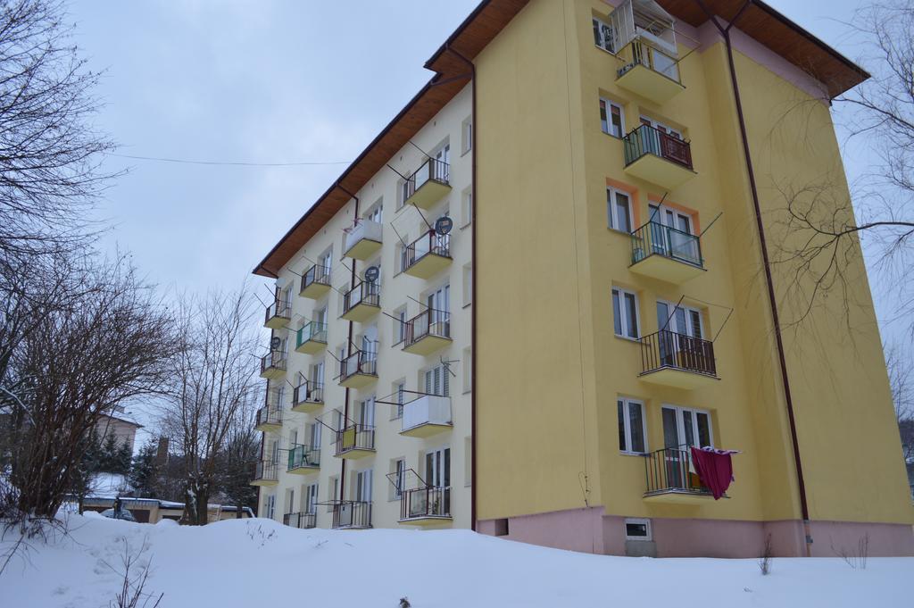 Apartament Ustrzyki Ustrzyki Dolne Zewnętrze zdjęcie