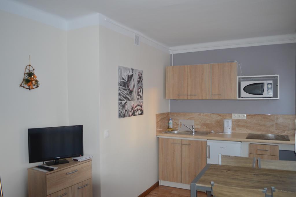 Apartament Ustrzyki Ustrzyki Dolne Zewnętrze zdjęcie